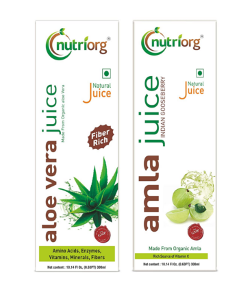 Nutriorg Amla & Aloe Vera Juice - 600 Ml (Pack of 2 - 300 each) | Organically Grown| Immunity Booster | Detoxification